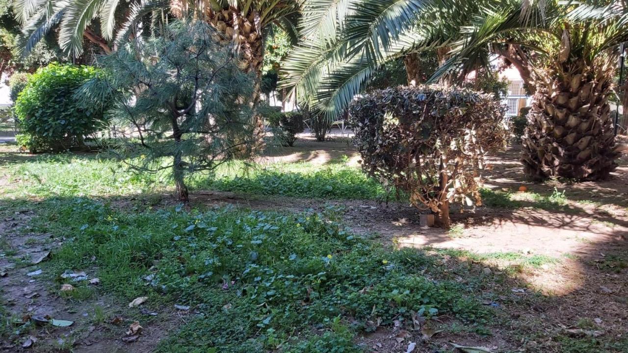 Del Parque Flats Urban Relax Lejlighed